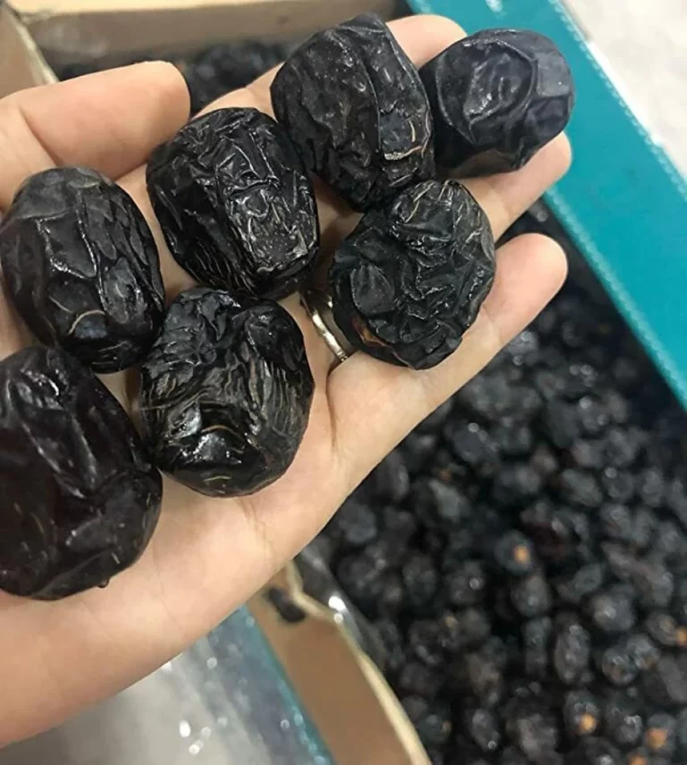 pemborong kurma near me